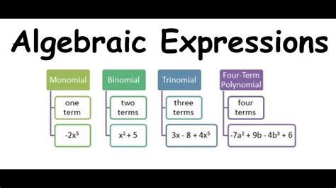 Algebraic Expressions | What is a Term Factor Coefficient Monomial ...