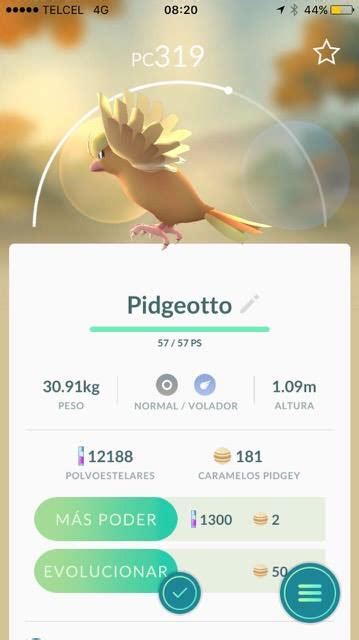 shiny pidgeotto : r/Pokemon_GO_News