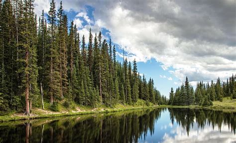 HD wallpaper: body of water surrounded by fine trees, irene lake, lake ...