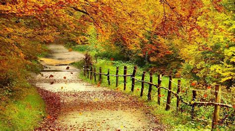 Autumn Scenery Wallpaper (57+ images)