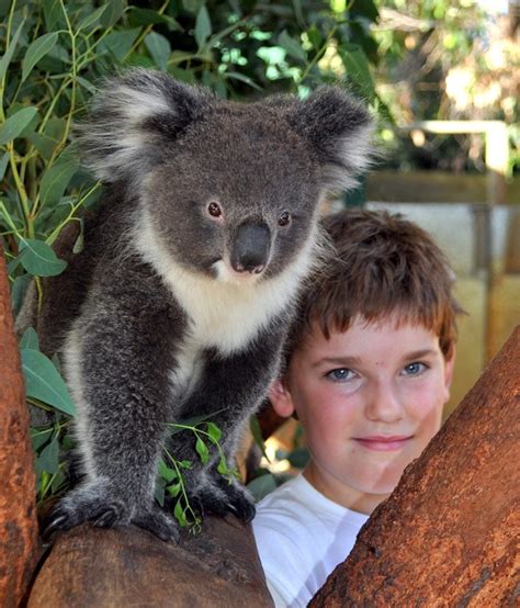 Caversham Wildlife Park - Tourist Attractions & Information - Whiteman ...