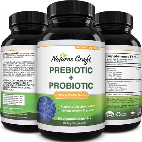 Prebiotics and Probiotics Gut Health Supplement - Acidophilus Probiotic ...