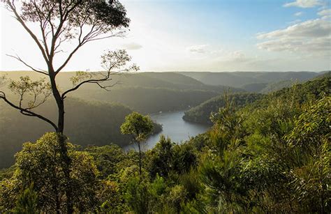 Our parks | NSW National Parks