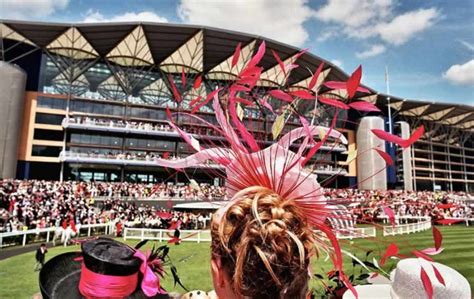 Ascot Racecourse – Festivals of Racing