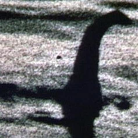 The Loch Ness Monster Book Facts | scs-oman.com