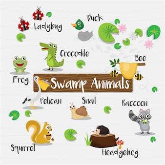 Premium Vector | Swamp animals cartoon with animal name