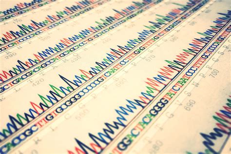 Heteroplasmic vs Homoplasmic: What sets them apart?