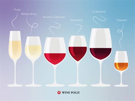 6 Wine Glasses To Rule Them All | Wine Folly