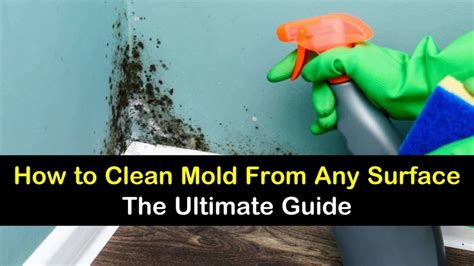 14+ Amazingly Easy Ways to Clean Mold