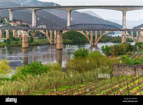 Bridges over Douro river, Portugal Stock Photo - Alamy