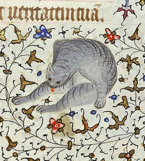 30 Cats in Manuscripts ideas in 2021 | medieval art, medieval ...