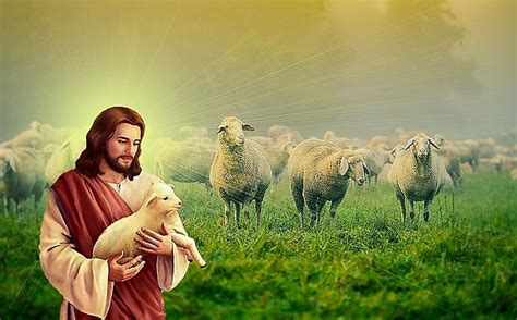 Good shepherd Jesus Christ, jesus, gospel, god, shepherd, christ, HD ...