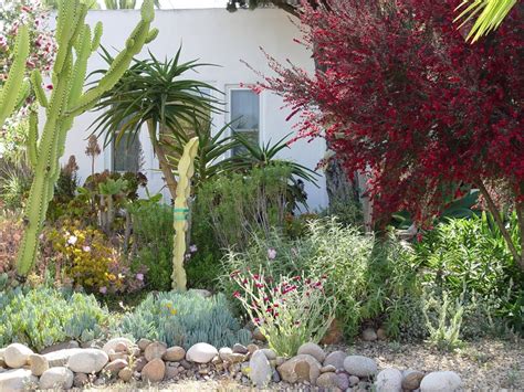 A Guide to Xeriscape Fundamentals - Landscaping Network