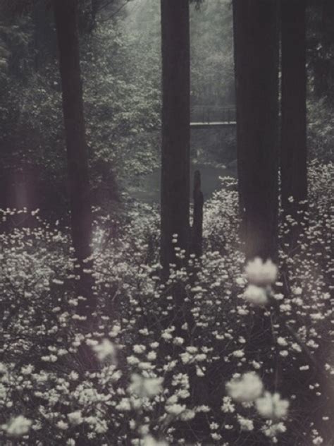 Enchanted Forest Aesthetic Tumblr - Largest Wallpaper Portal