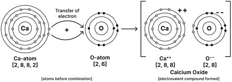 Explain with the help of atomic orbit structure diagram the | KnowledgeBoat