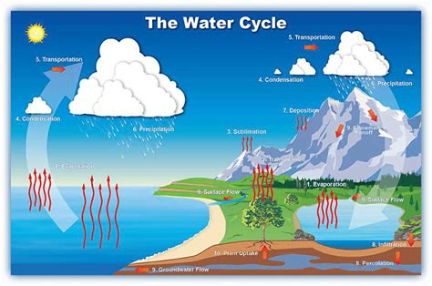 What is the water cycle and can the cycle be disrupted? – iWeatherNet