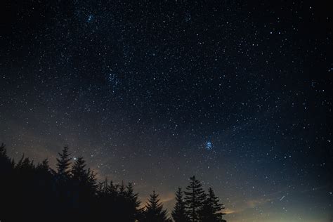 wallpaper starry sky, night, trees, night landscape HD : Widescreen ...