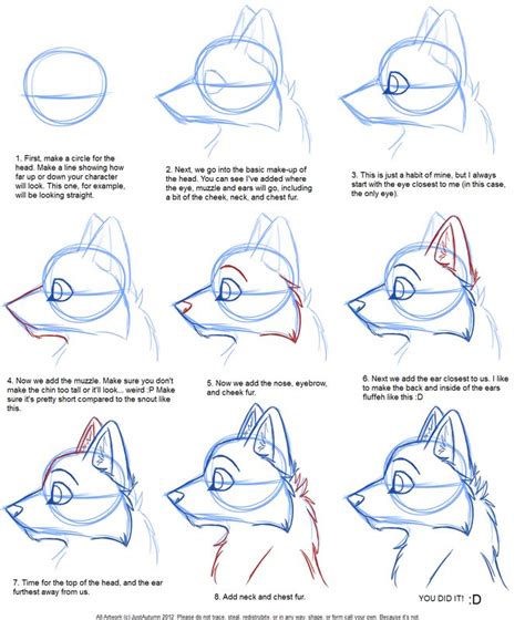 41 best Anthro Anatomy/tutorials images on Pinterest | Furry drawing ...