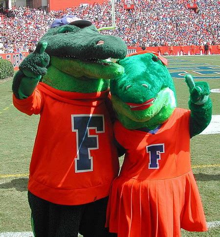 Albert & Alberta - Florida Gators Mascot | Animal Mascot and Costumes