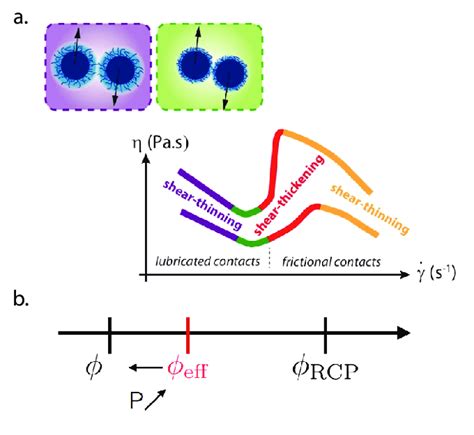 (a) Scheme of the process involved in the first shear thinning regime ...