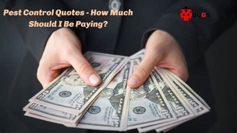 Pest Control Quotes – How Much Should I Be Paying? – School Of Bugs