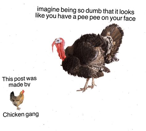 Chicken gang represent 😫😫🐓🐔🐥👅👅 : r/dankmemes