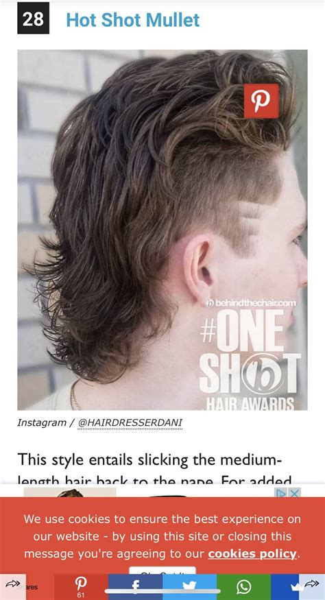 Best DIY mullet guides? Here’s my current status : r/malehairadvice