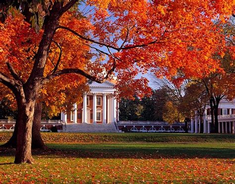 University of Virginia | University of virginia, University of virginia ...