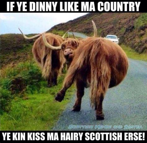 Scottish Words, Scottish Quotes, Scottish Names, Scottish Gaelic ...