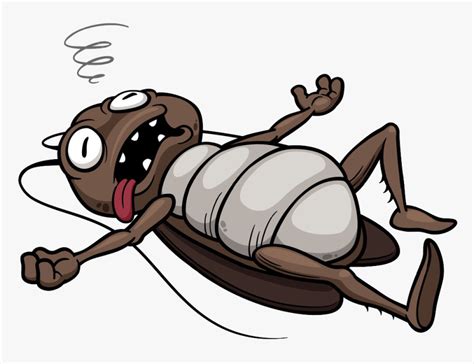 Transparent Cockroach Png - Dead Cockroach Cartoon, Png Download - kindpng