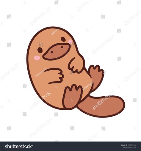 Kawaii Platypus Photos, Images and Pictures