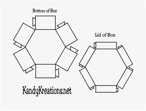 Hexagon Box Template Vector