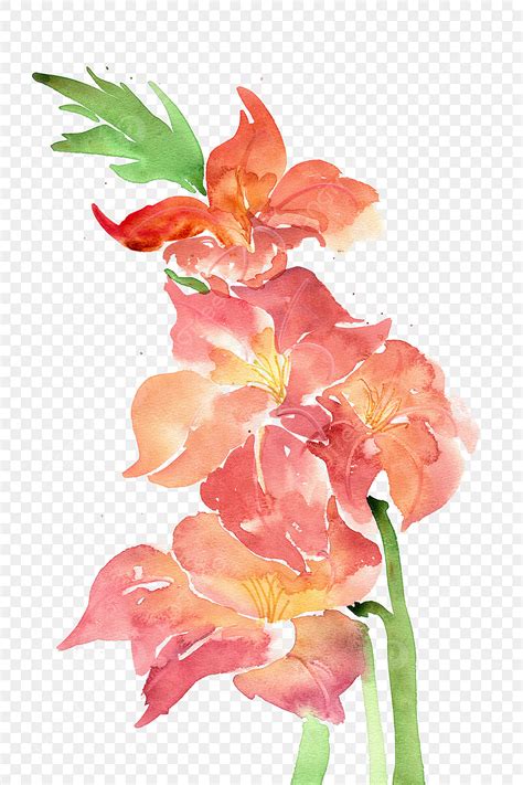 Gladiolus Png, Vector, PSD, and Clipart With Transparent Background for ...