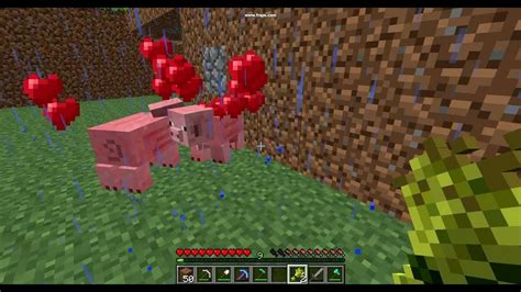 Minecraft - Animal Breeding - YouTube