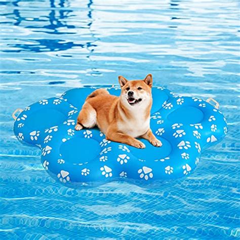 The 6 Best Dog Pool Floaties and Rafts for Summer Splashing