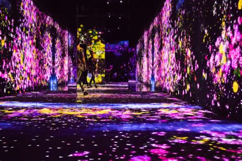 World’s First Digital Art Museum in Tokyo, Japan: A Multi-Sensory ...