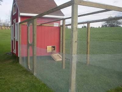 How to Install A Chicken Wire Fence? Steps In Here