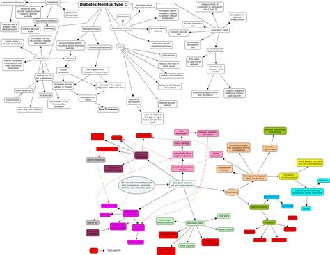 Pathophysiology Of Diabetes Type 2 Concept Map - DiabetesWalls