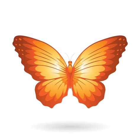 Premium Vector | Orange butterfly illustration with round wings