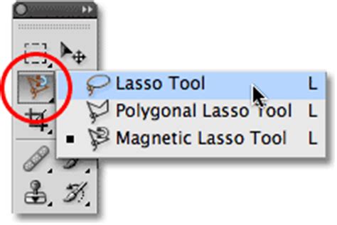 شرح أداة لاسو المغناطيسية في برنامج فوتوشوب magnetic Lasso