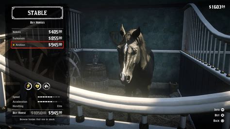 Red Dead 2 Best Horse Locations: Where To Find The Top Breeds - GameSpot