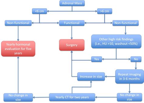 Adrenal adenoma - Cancer Therapy Advisor