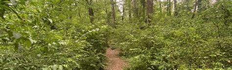 Dearborn Park Trail, Georgia - 73 Reviews, Map | AllTrails