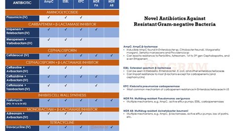 Antibiotics For Gram Negative Bacteria