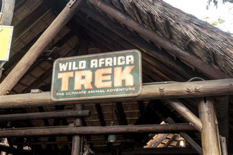 Disney's Wild Africa Trek Review - Thyme & Love