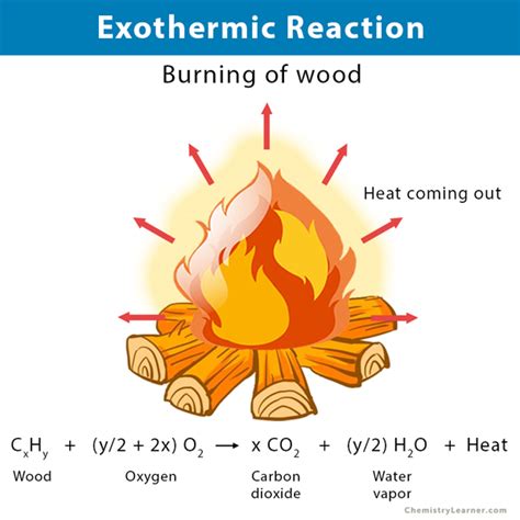 Exothermic Reaction: Definition, Equation, and Examples