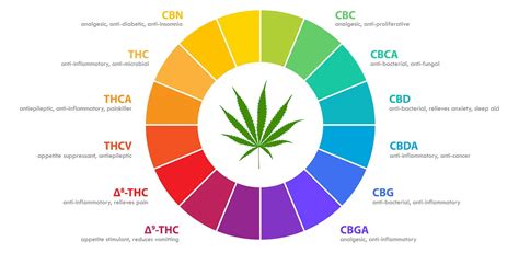 Types Of THC | Different Types Of THC