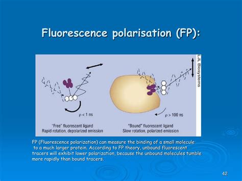 PPT - High-Throughput Screening PowerPoint Presentation, free download ...