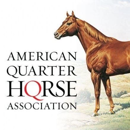 American Quarter Horse Association - Alchetron, the free social ...