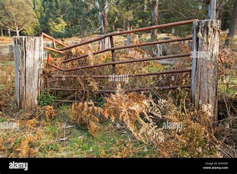 Rusty gates hi-res stock photography and images - Alamy